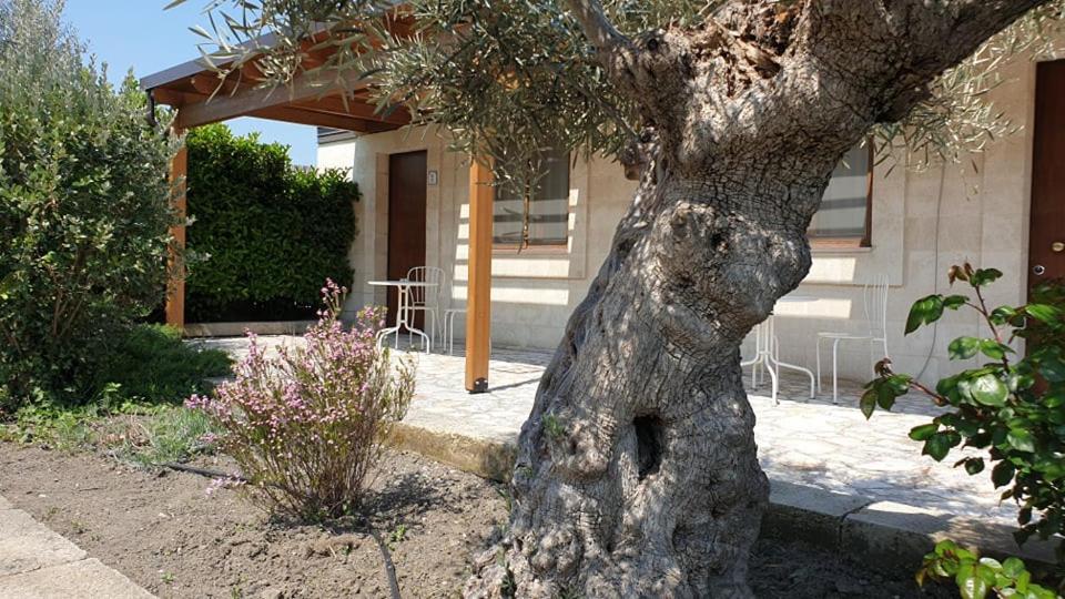 Residence Masseria Santa Lucia Matera Esterno foto